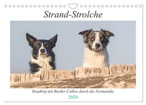 Strand-Strolche (Wandkalender 2024 DIN A4 quer), CALVENDO Monatskalender von Homolka,  Barbara