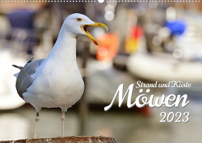 Strand und Küste – Möwen (Wandkalender 2023 DIN A2 quer) von Reinke,  Michael