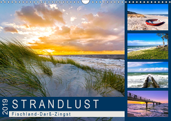 STRANDLUST: Fischland-Darß-Zingst (Wandkalender 2019 DIN A3 quer) von Dreegmeyer,  Andrea