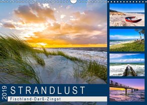 STRANDLUST: Fischland-Darß-Zingst (Wandkalender 2019 DIN A3 quer) von Dreegmeyer,  Andrea