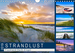 STRANDLUST: Fischland-Darß-Zingst (Wandkalender 2019 DIN A4 quer) von Dreegmeyer,  Andrea