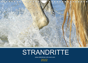 STRANDRITTE (Wandkalender 2022 DIN A4 quer) von Eckerl Tierfotografie www.petraeckerl.com,  Petra