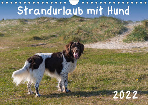 Strandurlaub mit Hund (Wandkalender 2022 DIN A4 quer) von Bollich,  Heidi