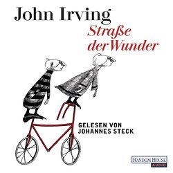 Straße der Wunder von Irving,  John, Steck,  Johannes