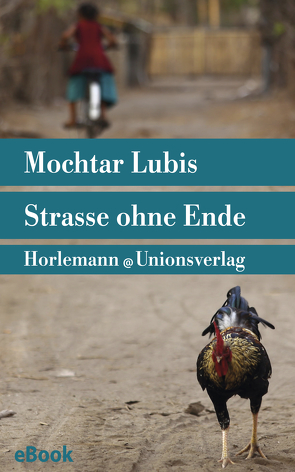 Straße ohne Ende von Hofstra,  Diethelm, Lubis,  Mochtar