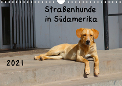 Straßenhunde 2021 (Wandkalender 2021 DIN A4 quer) von Gerken,  Jochen