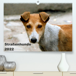 Straßenhunde (Premium, hochwertiger DIN A2 Wandkalender 2022, Kunstdruck in Hochglanz) von Bakker,  Antje