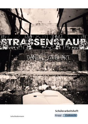 Strassenstaub – Daniel Gebhart – Schülerarbeitsheft von Biedermann,  Julia, Krapp,  Günter, Zenner,  Cornelia