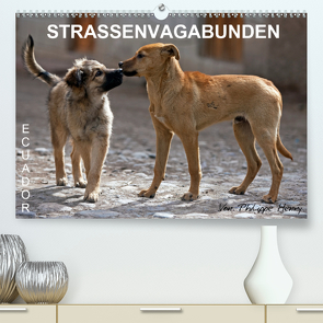 STRASSENVAGABUNDEN (Premium, hochwertiger DIN A2 Wandkalender 2021, Kunstdruck in Hochglanz) von Henry,  Philippe