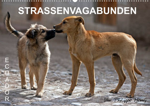 STRASSENVAGABUNDEN (Wandkalender 2022 DIN A2 quer) von Henry,  Philippe