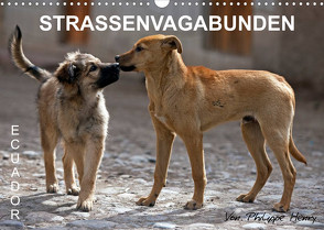 STRASSENVAGABUNDEN (Wandkalender 2022 DIN A3 quer) von Henry,  Philippe