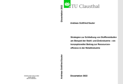 Strategien zur Schließung von Stoffkreisläufen am Beispiel der Stahl- Zinkindustrie – ein konzeptioneller Beitrag zur Ressourceneffizienz in der Metallindustrie von Sauter,  Andreas Gottfried