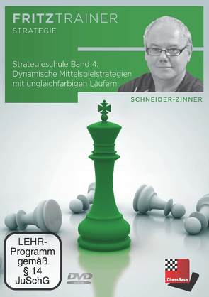 Strategieschule Band 4 von Schneider-Zinner,  Harald