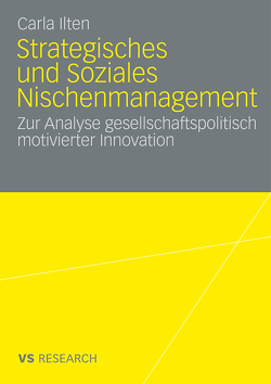 Strategisches und soziales Nischenmanagement von Ilten,  Carla