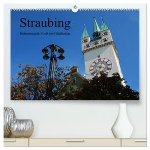 Straubing, liebenswerte Stadt im Gäuboden (hochwertiger Premium Wandkalender 2024 DIN A2 quer), Kunstdruck in Hochglanz von Stein,  Karin