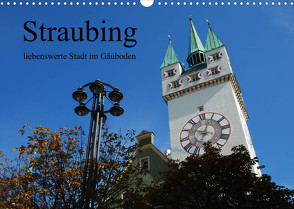 Straubing, liebenswerte Stadt im Gäuboden (Wandkalender 2023 DIN A3 quer) von Stein,  Karin