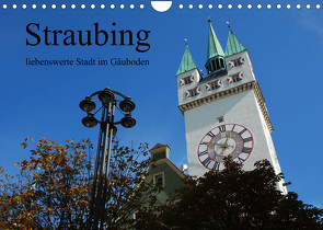 Straubing, liebenswerte Stadt im Gäuboden (Wandkalender 2023 DIN A4 quer) von Stein,  Karin