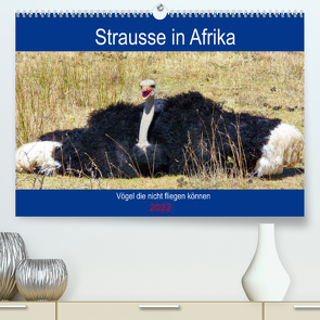 Strausse in Afrika (Premium, hochwertiger DIN A2 Wandkalender 2022, Kunstdruck in Hochglanz) von Fraatz,  Barbara