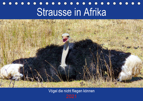 Strausse in Afrika (Tischkalender 2021 DIN A5 quer) von Fraatz,  Barbara