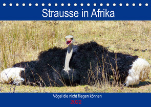 Strausse in Afrika (Tischkalender 2022 DIN A5 quer) von Fraatz,  Barbara