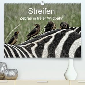 Streifen – Zebras in freier Wildbahn (Premium, hochwertiger DIN A2 Wandkalender 2021, Kunstdruck in Hochglanz) von Michel,  Susan