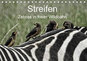 Streifen – Zebras in freier Wildbahn (Tischkalender 2018 DIN A5 quer) von Michel,  Susan