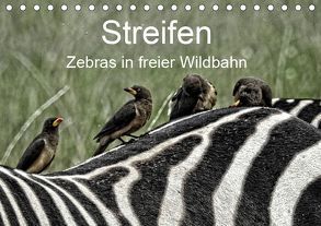 Streifen – Zebras in freier Wildbahn (Tischkalender 2019 DIN A5 quer) von Michel,  Susan