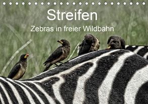 Streifen – Zebras in freier Wildbahn (Tischkalender 2020 DIN A5 quer) von Michel,  Susan