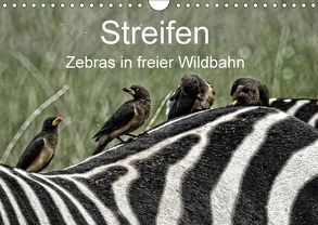 Streifen – Zebras in freier Wildbahn (Wandkalender 2018 DIN A4 quer) von Michel,  Susan