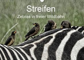 Streifen – Zebras in freier Wildbahn (Wandkalender 2019 DIN A3 quer) von Michel,  Susan