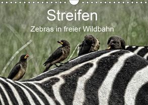 Streifen – Zebras in freier Wildbahn (Wandkalender 2019 DIN A4 quer) von Michel,  Susan