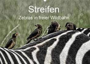 Streifen – Zebras in freier Wildbahn (Wandkalender 2020 DIN A2 quer) von Michel,  Susan