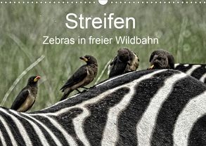 Streifen – Zebras in freier Wildbahn (Wandkalender 2020 DIN A3 quer) von Michel,  Susan