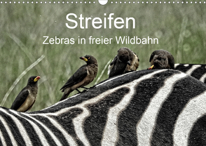 Streifen – Zebras in freier Wildbahn (Wandkalender 2021 DIN A3 quer) von Michel,  Susan