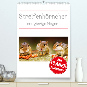 Streifenhörnchen – neugierige Nager (Premium, hochwertiger DIN A2 Wandkalender 2023, Kunstdruck in Hochglanz) von Mosert,  Stefan