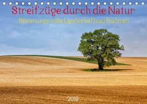 Streifzüge durch die Natur – Stimmungsvolle Landschaftsaufnahmen 2018 (Tischkalender 2018 DIN A5 quer) von Falke,  Manuela