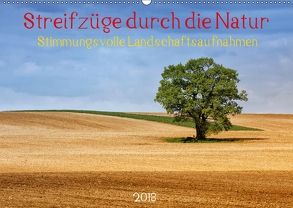 Streifzüge durch die Natur – Stimmungsvolle Landschaftsaufnahmen 2018 (Wandkalender 2018 DIN A2 quer) von Falke,  Manuela