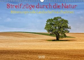 Streifzüge durch die Natur – Stimmungsvolle Landschaftsaufnahmen 2018 (Wandkalender 2018 DIN A3 quer) von Falke,  Manuela