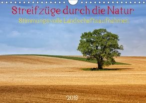 Streifzüge durch die Natur – Stimmungsvolle Landschaftsaufnahmen 2018 (Wandkalender 2018 DIN A4 quer) von Falke,  Manuela