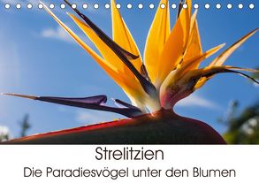 Strelitzien – die Paradiesvögel unter den Blumen (Tischkalender 2020 DIN A5 quer) von Schröder,  Silvia