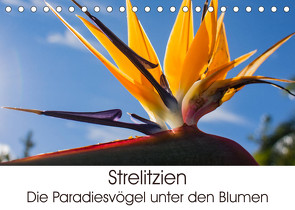 Strelitzien – die Paradiesvögel unter den Blumen (Tischkalender 2023 DIN A5 quer) von Schröder,  Silvia