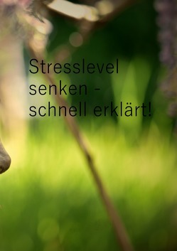 Stresslevel senken – schnell erklärt! von Damberger,  Marco