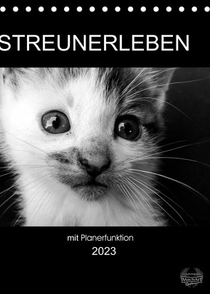 Streunerleben mit Planerfunktion (Tischkalender 2023 DIN A5 hoch) von Ira Schulz,  Melanie