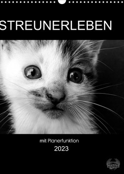 Streunerleben mit Planerfunktion (Wandkalender 2023 DIN A3 hoch) von Ira Schulz,  Melanie