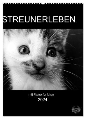 Streunerleben mit Planerfunktion (Wandkalender 2024 DIN A2 hoch), CALVENDO Monatskalender von Ira Schulz,  Melanie