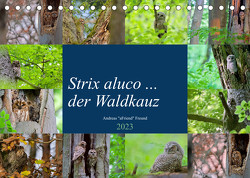 Strix aluco … der Waldkauz (Tischkalender 2023 DIN A5 quer) von Freund,  Andreas