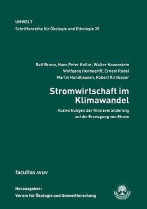 Stromwirtschaft im Klimawandel von Braun,  Ralf, Hauenstein,  Walter, Hennegriff,  Wolfgang, Hundhausen,  Martin, Kirnbauer,  Robert, Kollar,  Hans P, Rudel,  Ernest