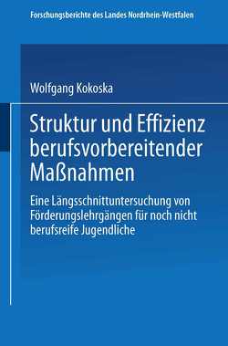 Struktur und Effizienz berufsvorbereitender Maßnahmen von Kokoska,  Wolfgang