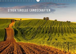 Strukturelle Landschaften (Wandkalender 2019 DIN A3 quer) von Gospodarek,  Mikolaj