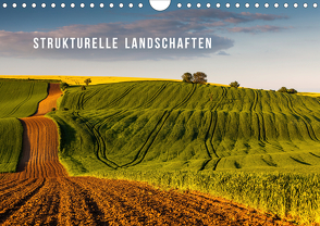 Strukturelle Landschaften (Wandkalender 2020 DIN A4 quer) von Gospodarek,  Mikolaj